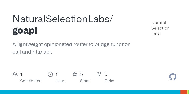 GitHub - NaturalSelectionLabs/goapi: A lightweight opinionated router to bridge function call and http api.