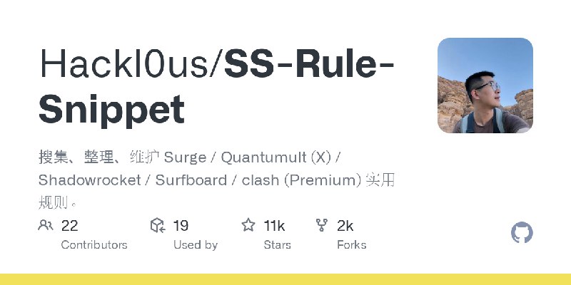 GitHub - Hackl0us/SS-Rule-Snippet: 搜集、整理、维护 Surge / Quantumult (X) / Shadowrocket / Surfboard / clash (Premium) 实用规则。