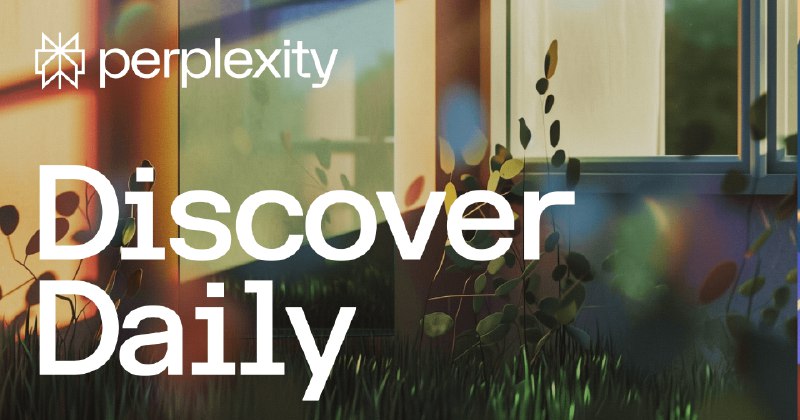 Discover Daily by Perplexity