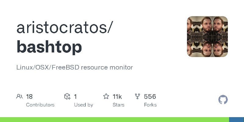 GitHub - aristocratos/bashtop: Linux/OSX/FreeBSD resource monitor