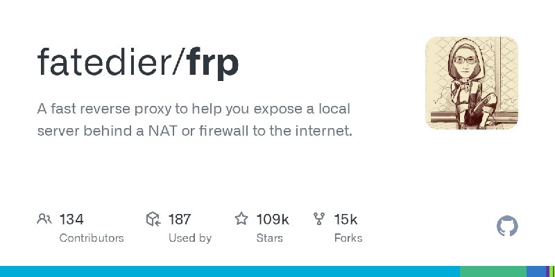 GitHub - fatedier/frp: A fast reverse proxy to help you expose a local server behind a NAT or firewall to the internet.