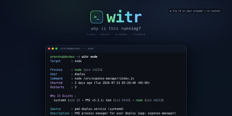 GitHub - pranshuparmar/witr at producthunt