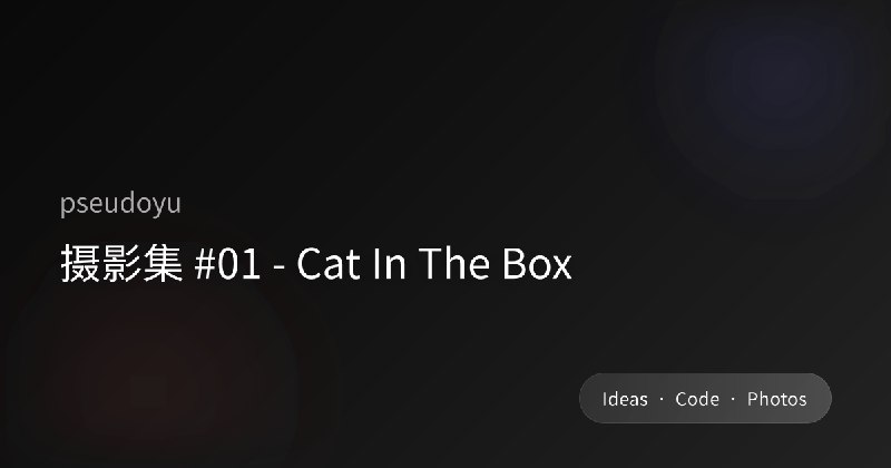摄影集 #01 - Cat In The Box