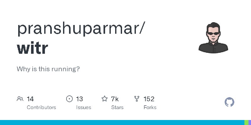 GitHub - pranshuparmar/witr: Why is this running?