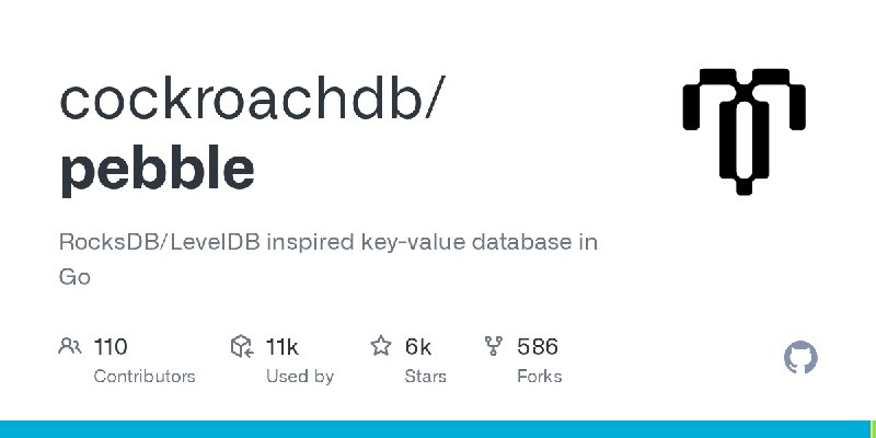 GitHub - cockroachdb/pebble: RocksDB/LevelDB inspired key-value database in Go