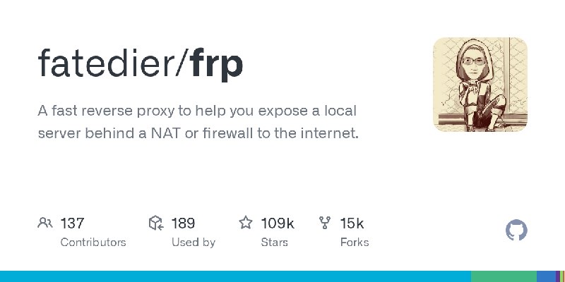 GitHub - fatedier/frp: A fast reverse proxy to help you expose a local server behind a NAT or firewall to the internet.