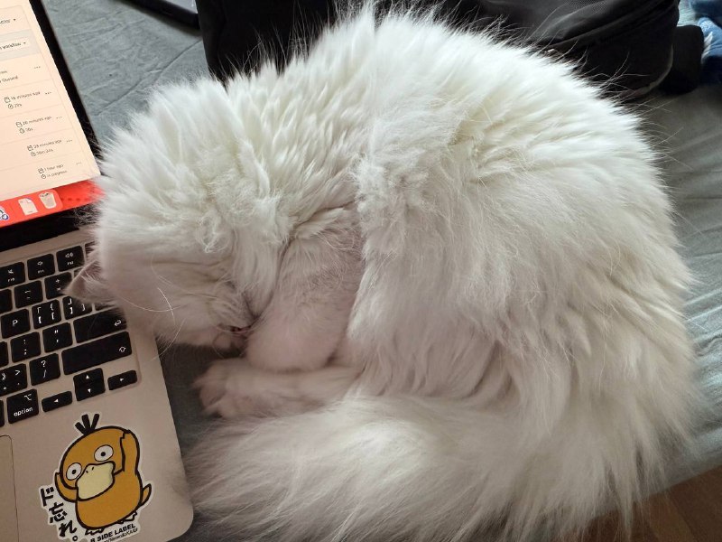 #life 杭州降温，捏捏陪伴上班也太暖了 🤗