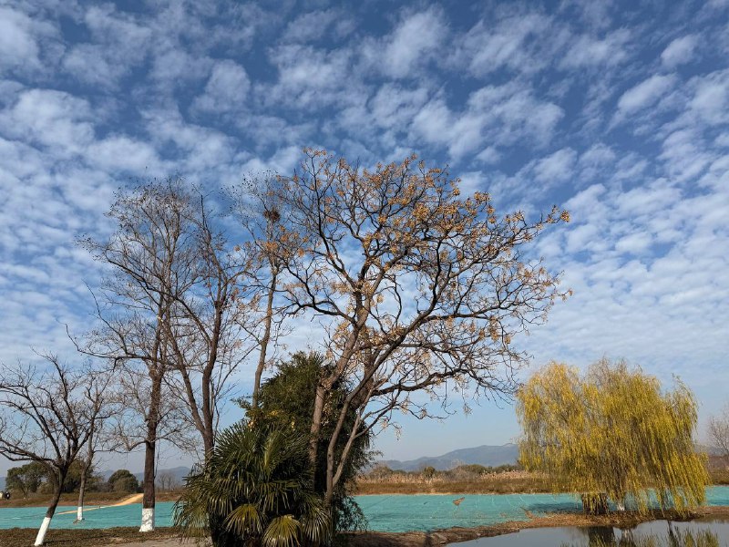 #life今天也是个好天 🤗