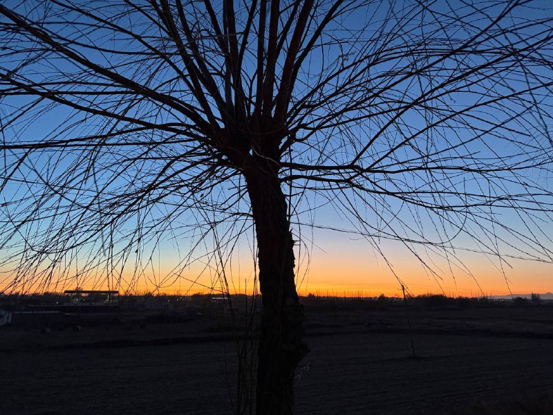 意外地发现冬天的黄河落日很美 