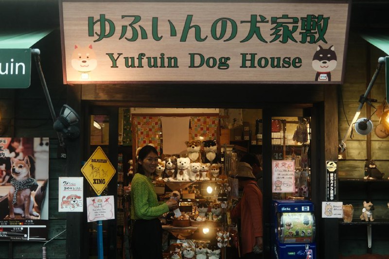 #life #japan高千穗⛩️ + 由布院🚶 + 别府温泉♨️高清图见 pseudoyu.com/photos，打算回去后搭一个 innei 的 photo-gallery 图库把原图和参数这些放上去 