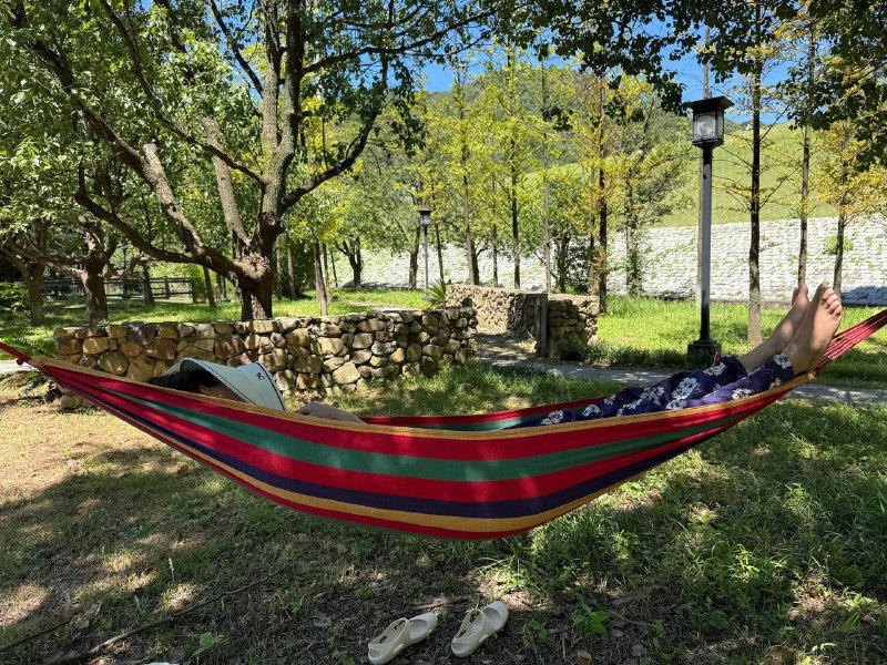 甚至还有吊床 🤣 野外装备齐全