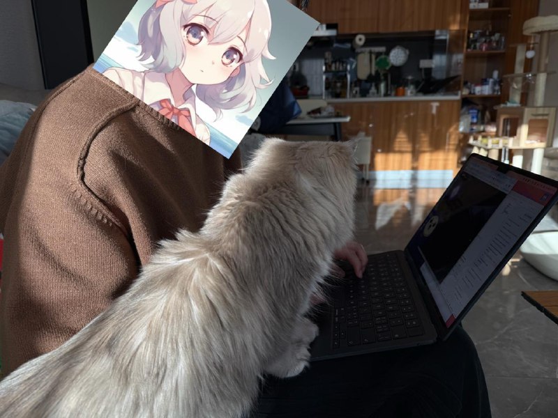 我家猫猫都想跟拾一大佬学前端 