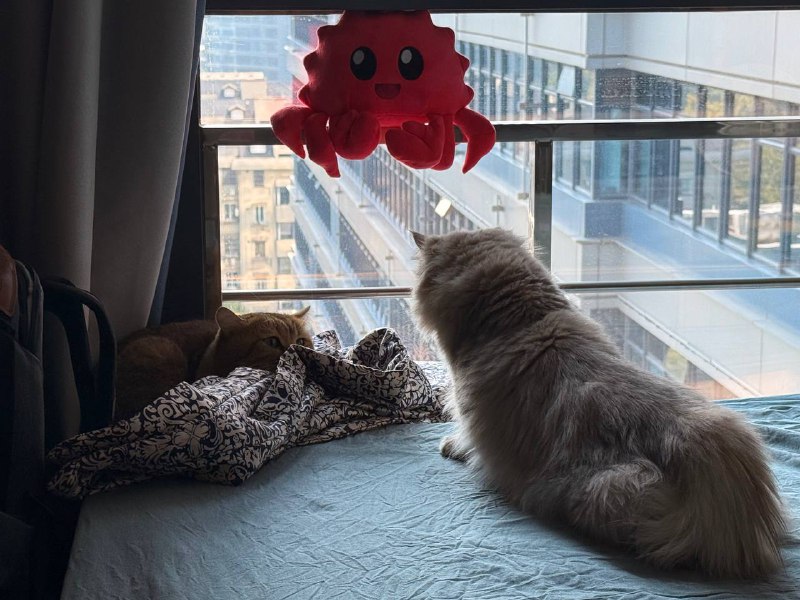 #life周一提了离职，明天 last day